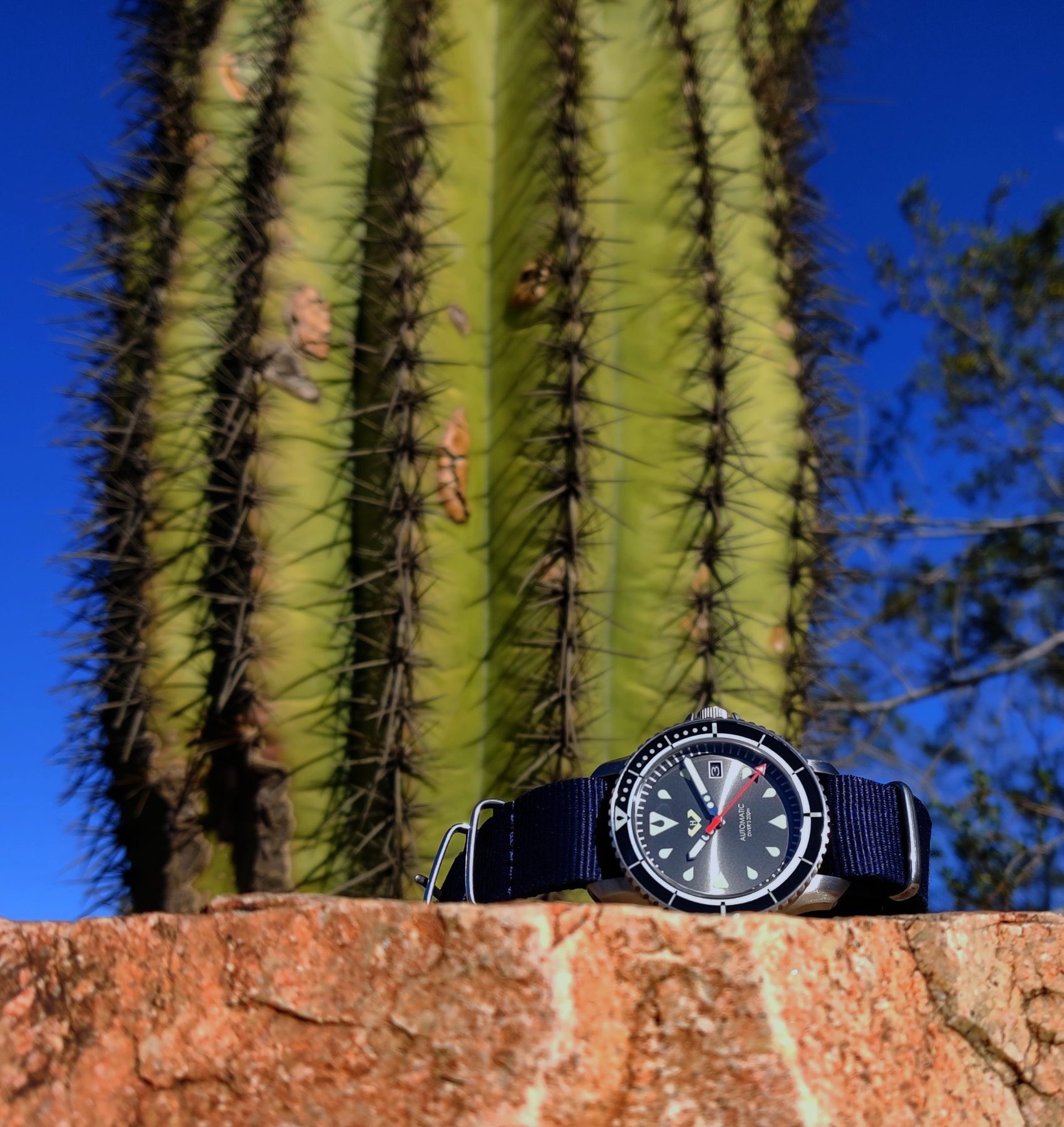 Hyalus watch in the New Mexico desert